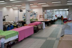"MINERAL-EXPO Olomouc 2.-3.3.2019". První moje výstava Electroformingu v Olomouci.