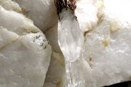 MINERAL-EXPO Olomouc 7.-8.11.2026